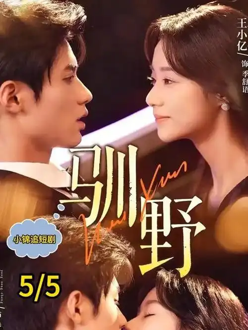 白露为霜 热播电视剧全集免费看